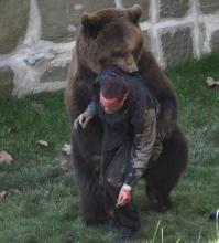 Подборка видео от 20.06.2014