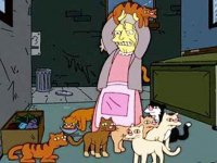 Кошки захватили японский остров