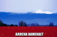 Как быстро тают ледники