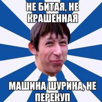 Соколы охотятся на ворон