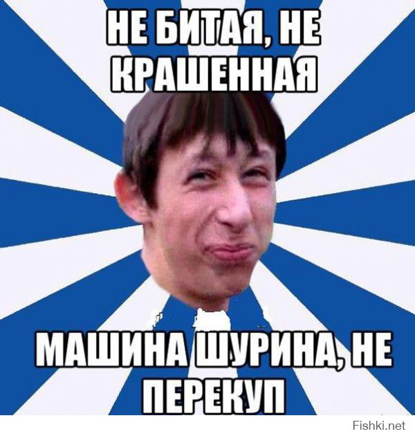 Соколы охотятся на ворон