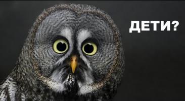 Шторм и дети