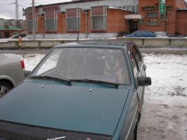 Почему собаки отвратительные водители