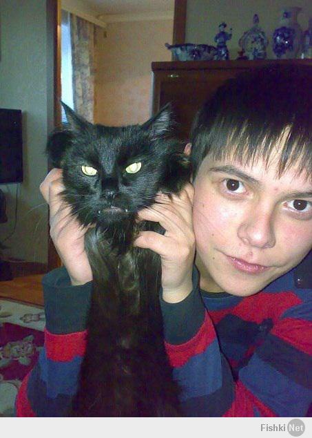 Подобрал котенком на улице возле киоска. Этому балбесу уже 10 лет.