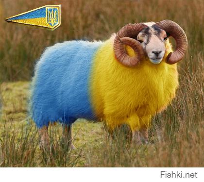 Дед, это я виновата