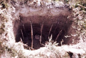 И остальных "доброжелателей" туда же.