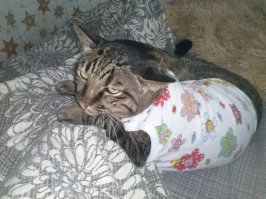 Реально первого января утром