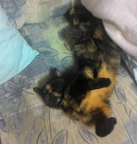 Неудобное удобно 