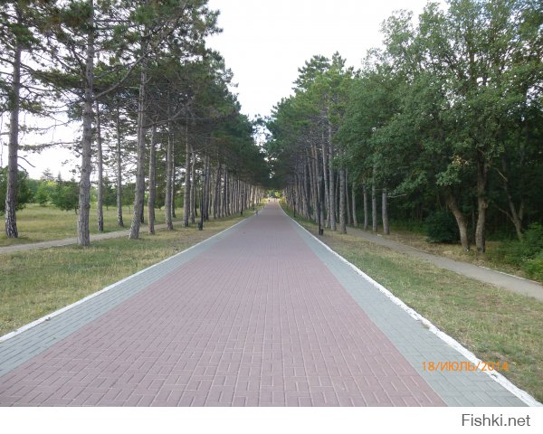 И еще немного о Сапун-горе