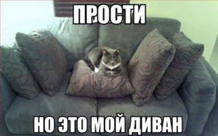 Смешные картинки с подписями