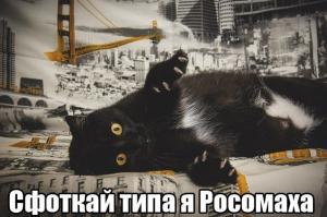 Смешные картинки с подписями