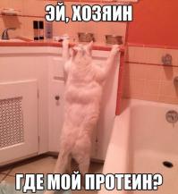 Смешные картинки с подписями