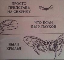 Фишкина солянка за 29.06.2014