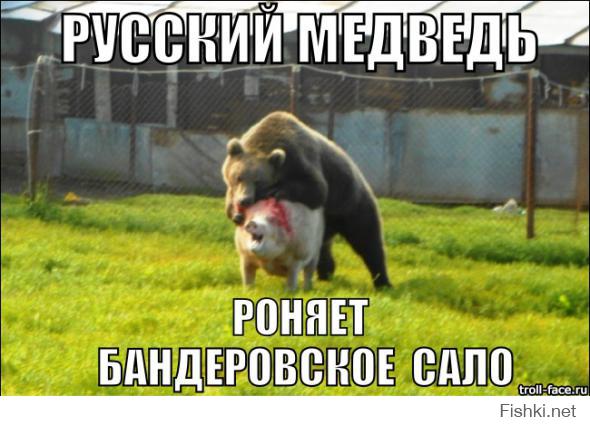 Триумф моли