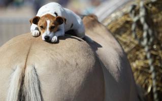 30 лучших фотографий природы, сделанных исследователями