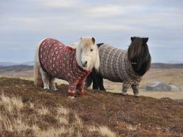 Фотоподборка за 18.09.2014