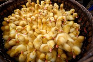 Фотоподборка за 14.11.2014