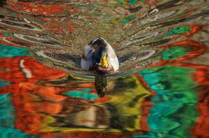 Девочка наряжается героинями разных эпох  