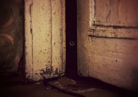 Пассажиры маршрутки спасли замерзшего бездомного кота