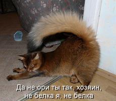 Фишкина солянка за 29.06.2014