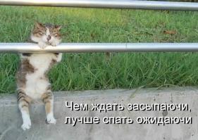 Фишкина солянка за 30.06.2014