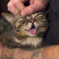 Фишкина солянка за 04.10.2014 