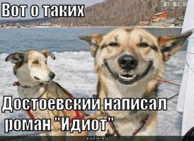 Активист «Стоп-хама» наклеил стикер на полицейское авто