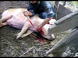 Язык мой – враг мой: Мосейчуку придется протрезветь и оплатить счета  