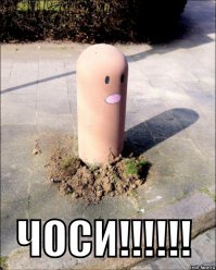 Фотоподборка за 05.05.2015