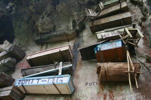 Сейчас великие укры будут жабить фотку, по политическим мотивам...