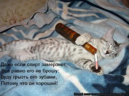  15 вещей о водке, которые необходимо знать в пятницу вечером