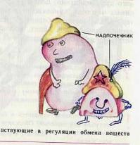 Рисунки в японских учебниках