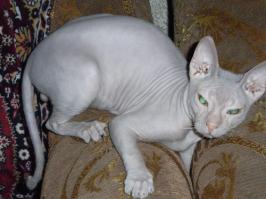 Это мой, нереальное чудо))