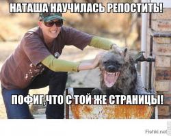 Фишкина солянка за 16.11.2014