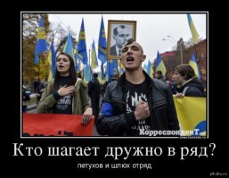 Немного фото на злобу дня. 