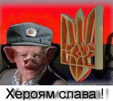 «КиберБеркут» обнародовал документы о потерях военных в Донбассе