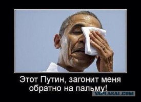 Робертс: "ограбленные" Западом страны могут обратиться к БРИКС