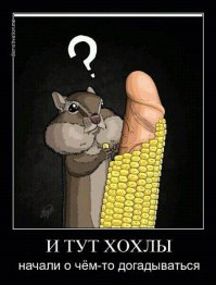 На Украине без следа растворилась военная помощь от Канады