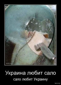 ДЕНЬГИ НА КРОВИ