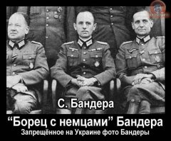 Чему учат школьников учебники украинской истории?