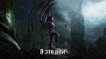 Случайно обнаружив рой, мужчина занялся пчеловодством 
