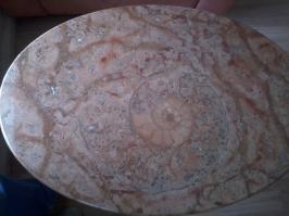 В мраморе окаменевший моллюск(аммонит).