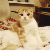 это мой иждивенец