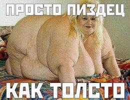 Современная жизнь в картинках