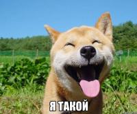 есть прикольные, но кошак больше всего понравился