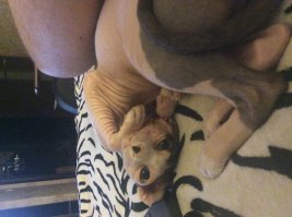 Оленем назвал)