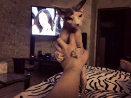 Оленем назвал)