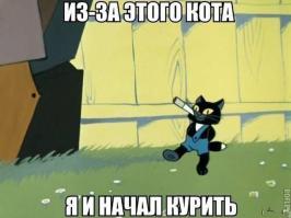 Любимые отечественные мультсериалы