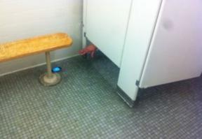 Тем, у кого день не задался, посвящается