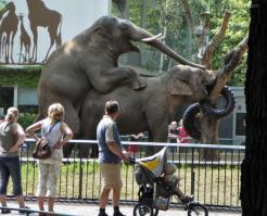 Весна  в зоопарке